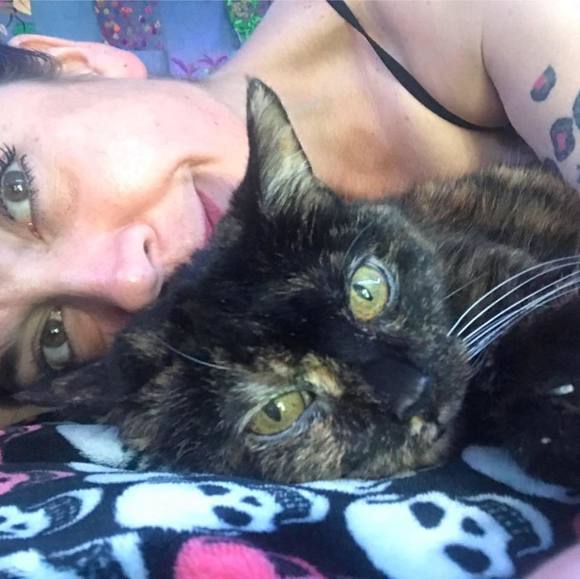 Meet your Posher, Jones - Picture 1 of 1